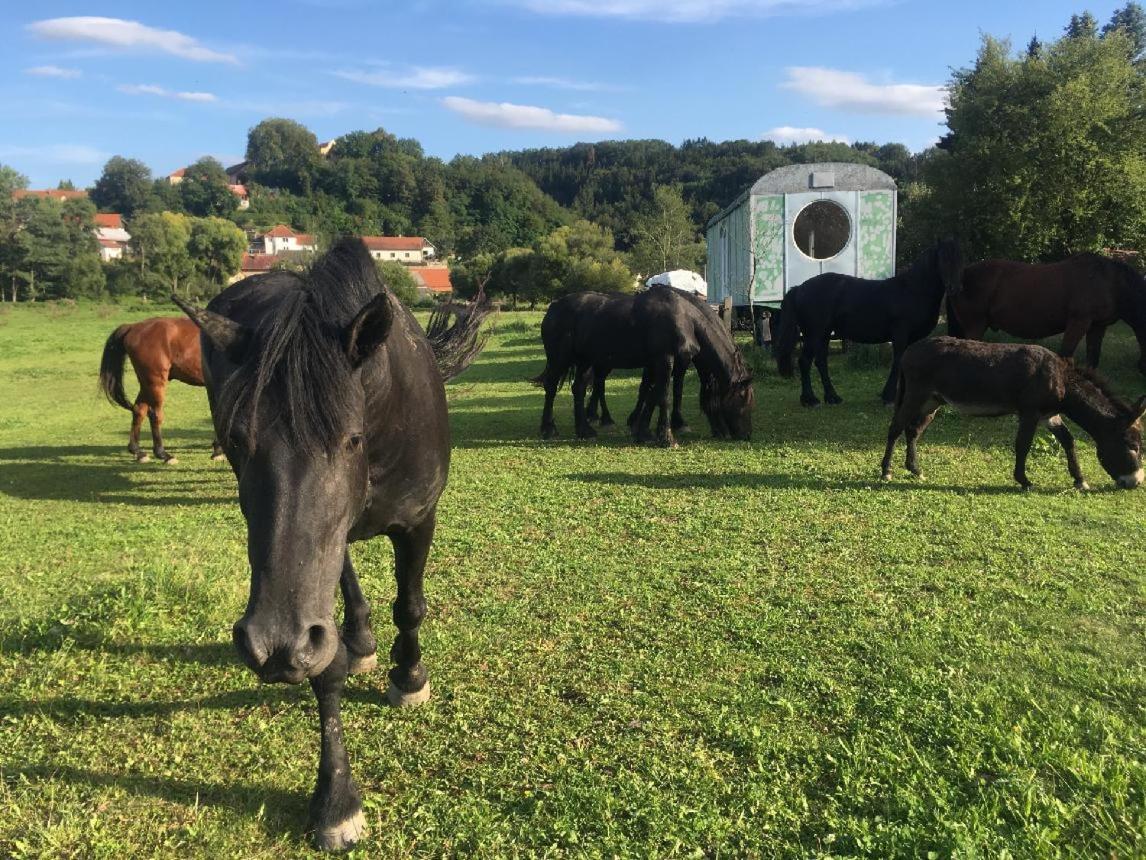 Glamping - Stylova Maringotka V Srdci Ladova Kraje, Pobliz Hlavniho Mesta Prahy Stribrna Skalice Εξωτερικό φωτογραφία