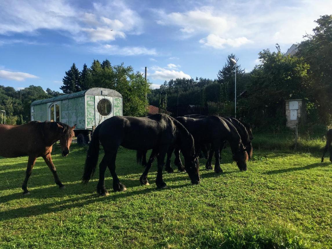 Glamping - Stylova Maringotka V Srdci Ladova Kraje, Pobliz Hlavniho Mesta Prahy Stribrna Skalice Εξωτερικό φωτογραφία