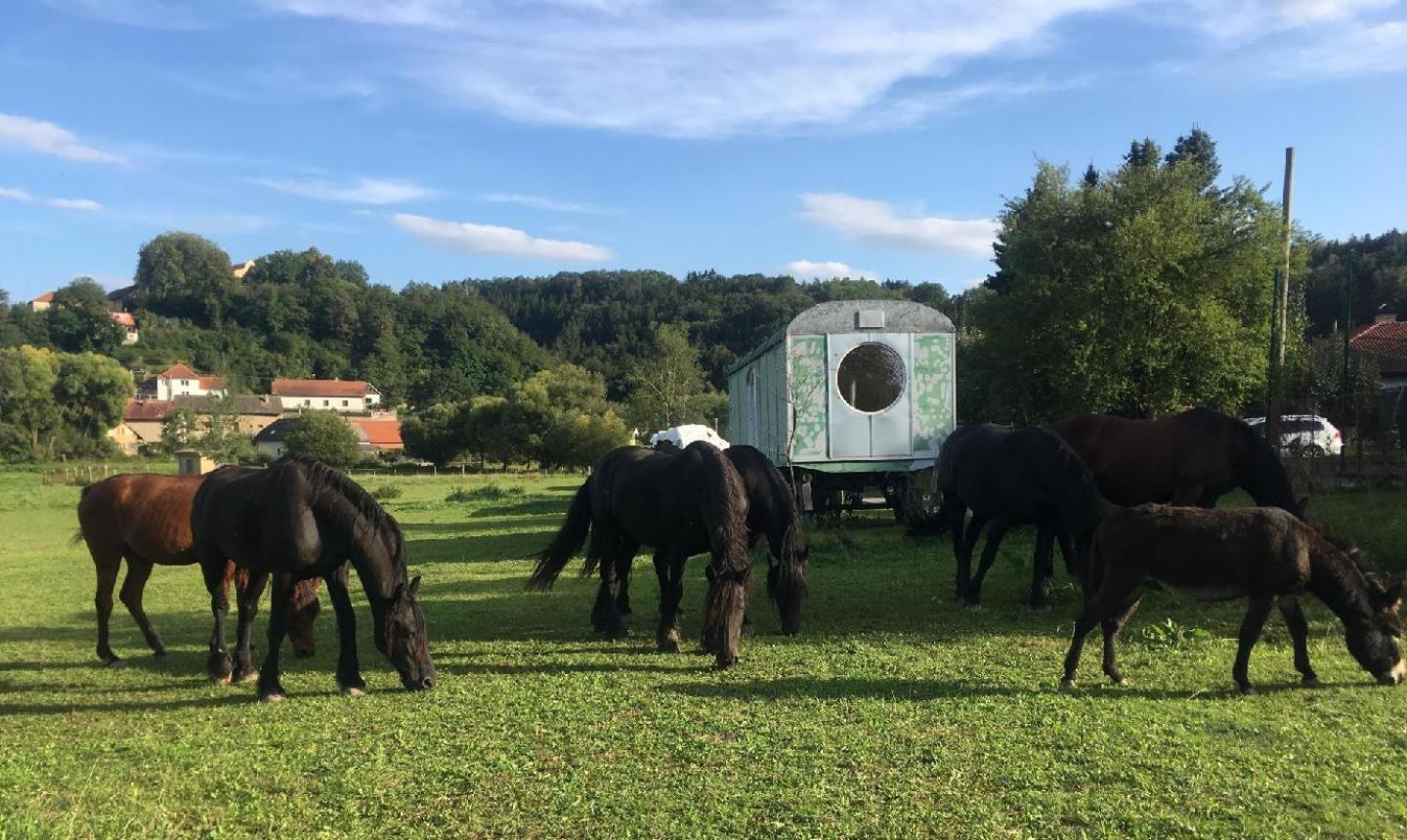 Glamping - Stylova Maringotka V Srdci Ladova Kraje, Pobliz Hlavniho Mesta Prahy Stribrna Skalice Εξωτερικό φωτογραφία
